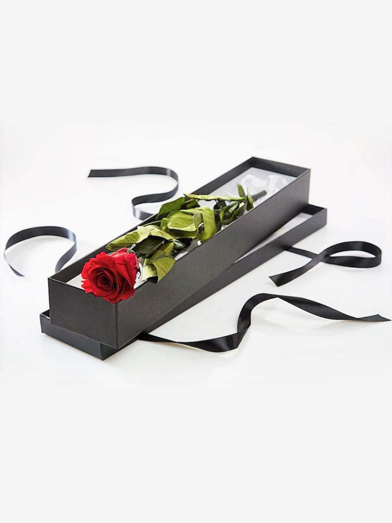 Single Red Rose in a Black Box