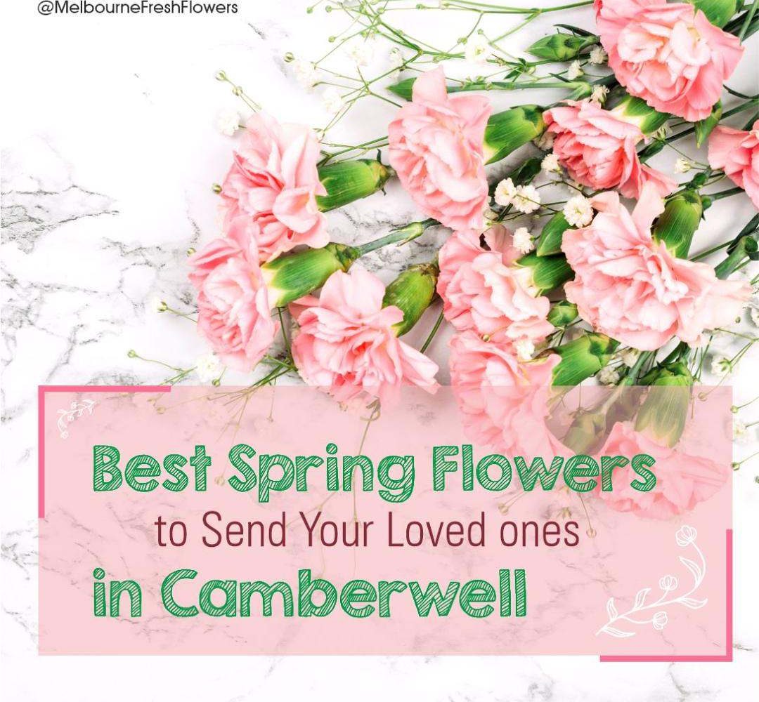 Best Spring Flowers Camberwell