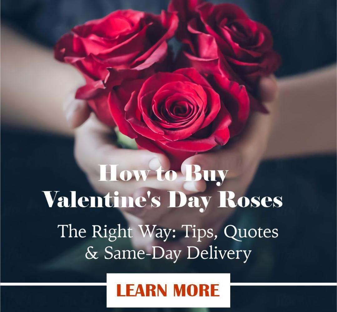 HOW TO BUY BEST ROSES FOR VALENTINES