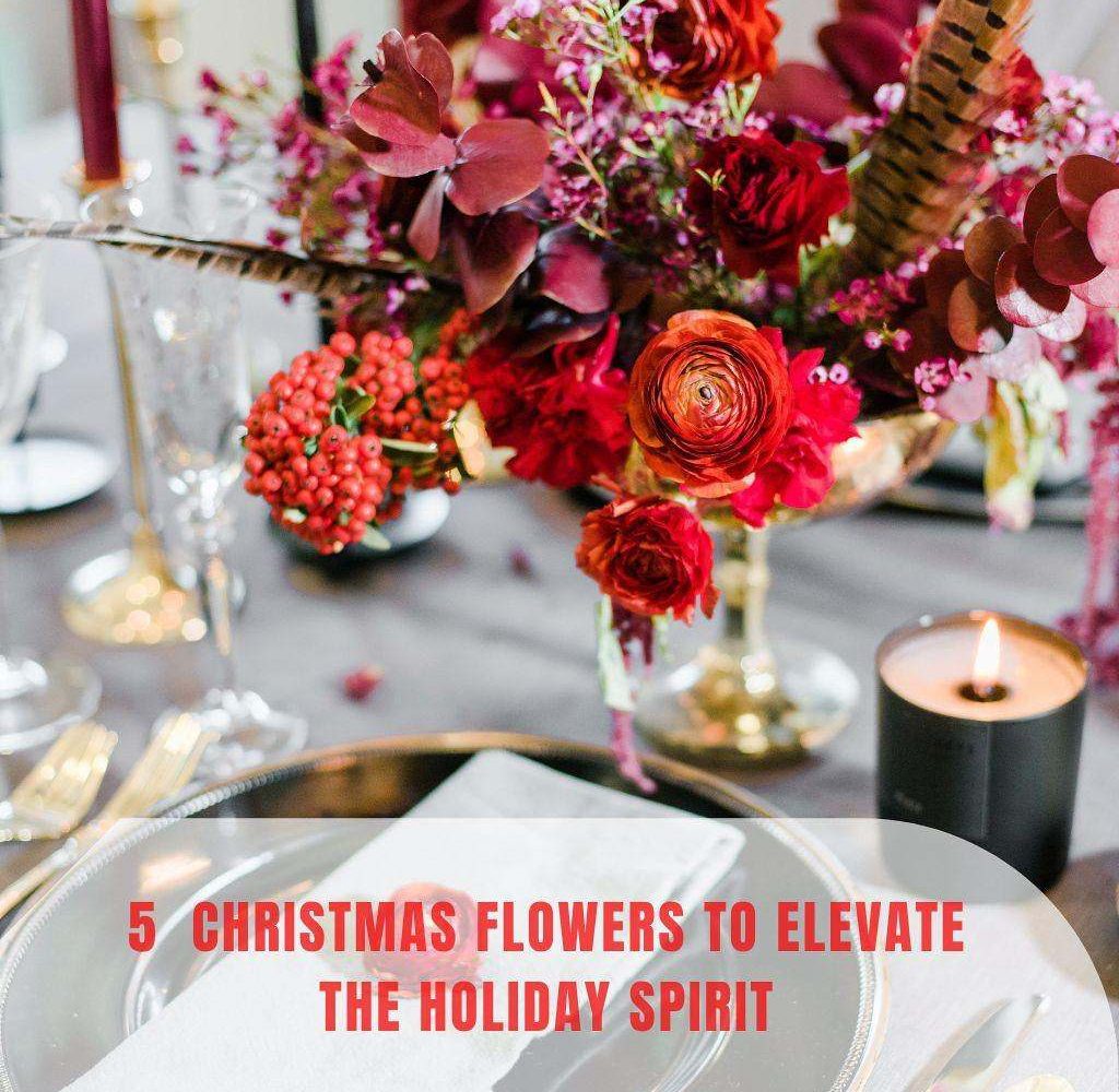 5 Christmas Flowers to Elevate the Holiday Spirit