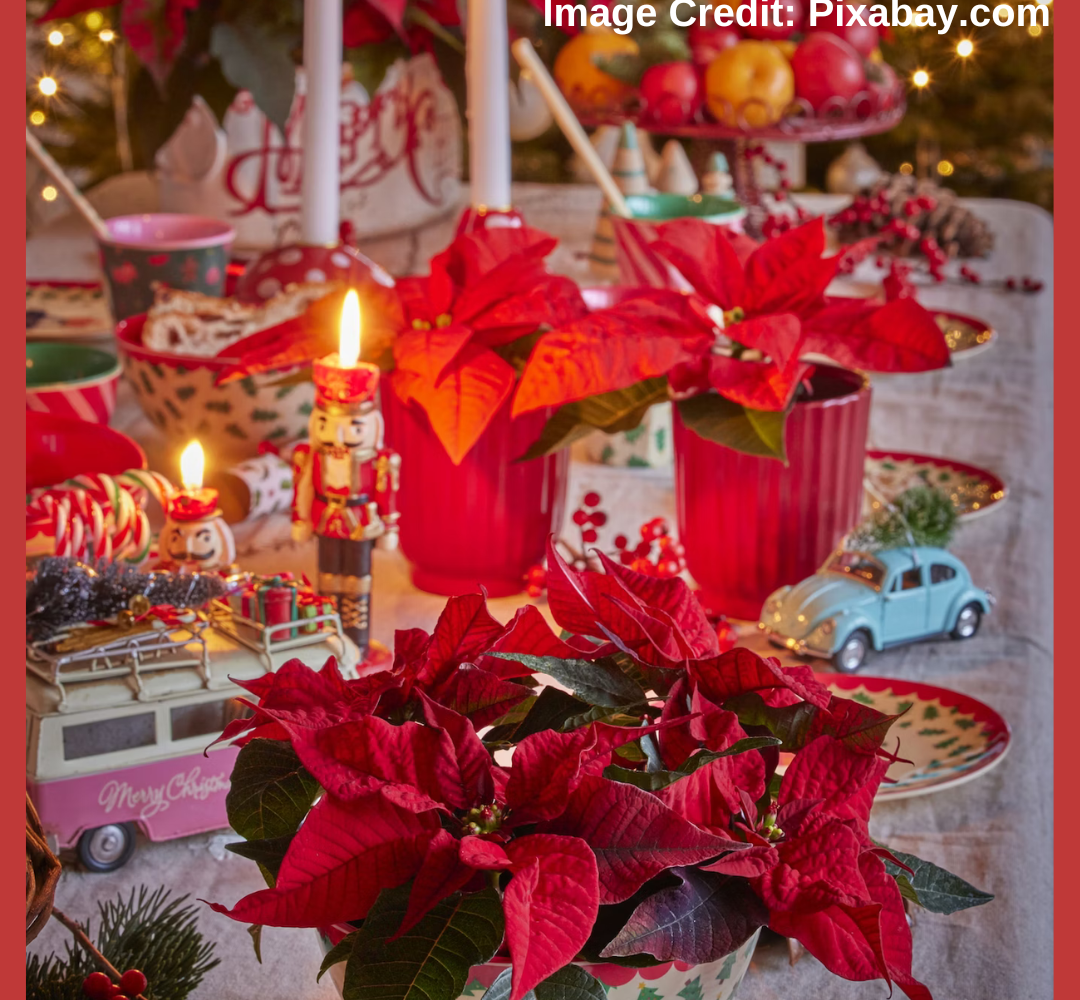 Fragrant Christmas Flowers