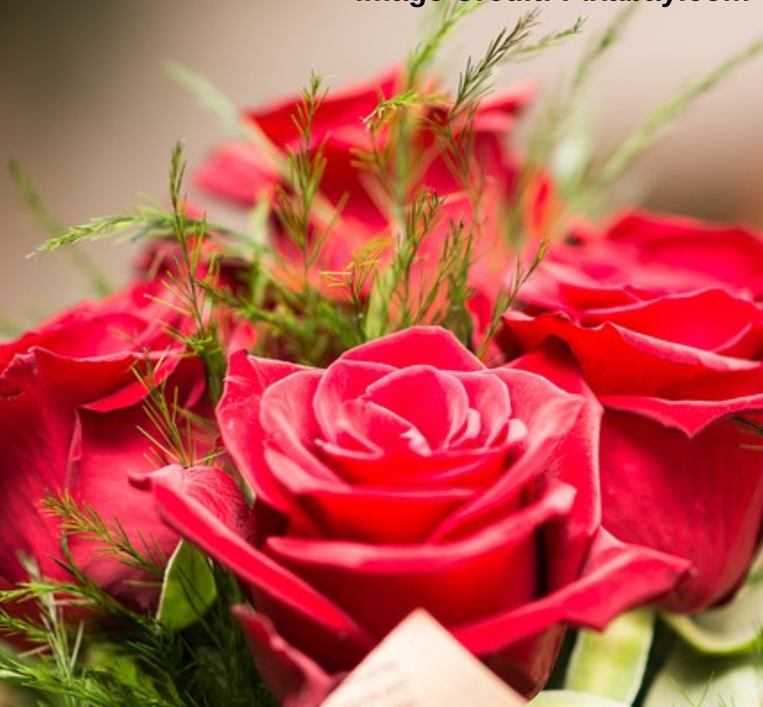 valentines day flowers