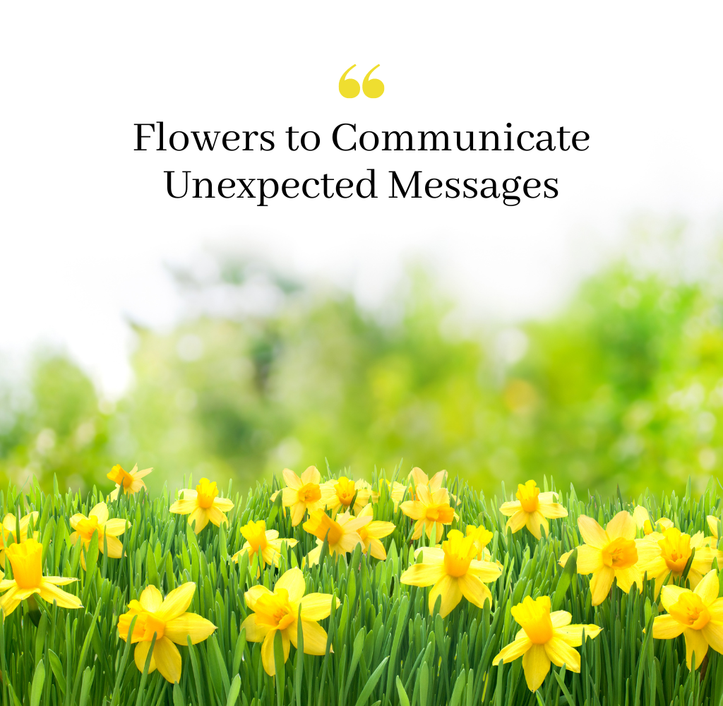 Flowers to Communicate Unexpected Messages